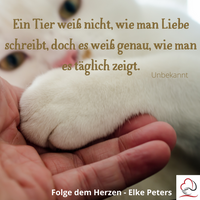 Tierkommunikation - Tierpsychologie - Elke Peters - Tiercoaching